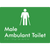 Male Ambulant Toilet