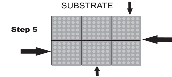 Step 5:
