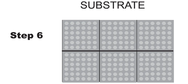 Step 6:
