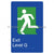 Fire Exit Level Ground