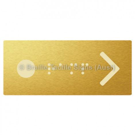 Braille Sign Hand Rail Button - Ramp (Left Hand Use) - Braille Tactile Signs Aust. - BTS269-aliG - Custom Signs - Fast Shipping - High Quality - Australian Made & Owned