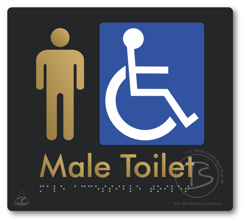 Male Accessible Toilet