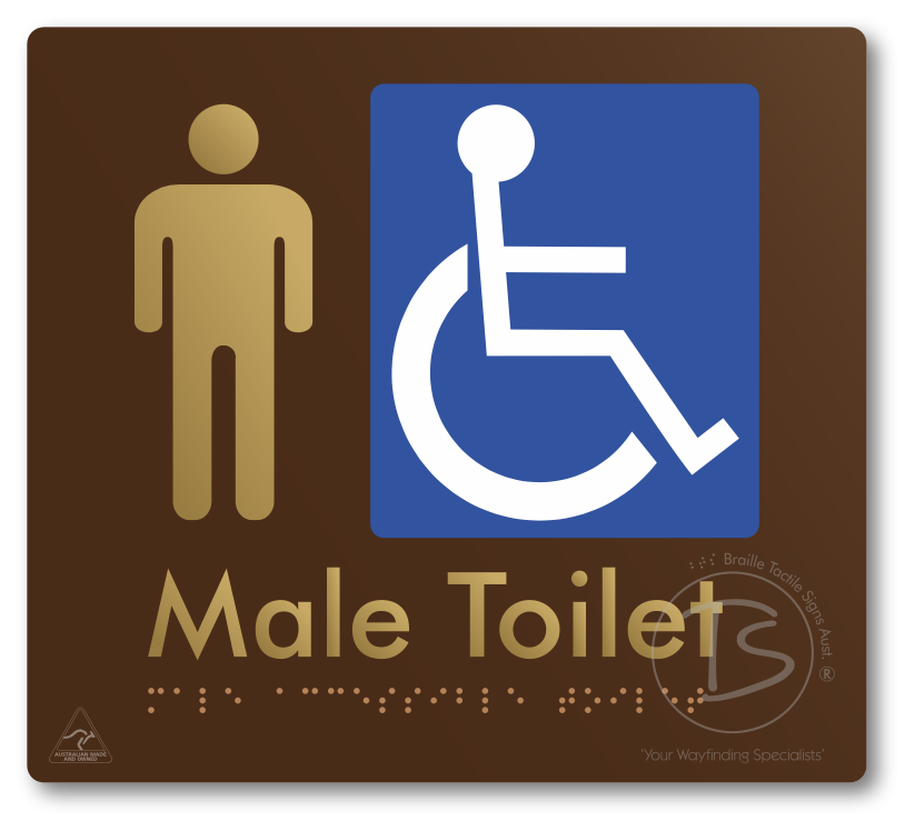 Male Accessible Toilet