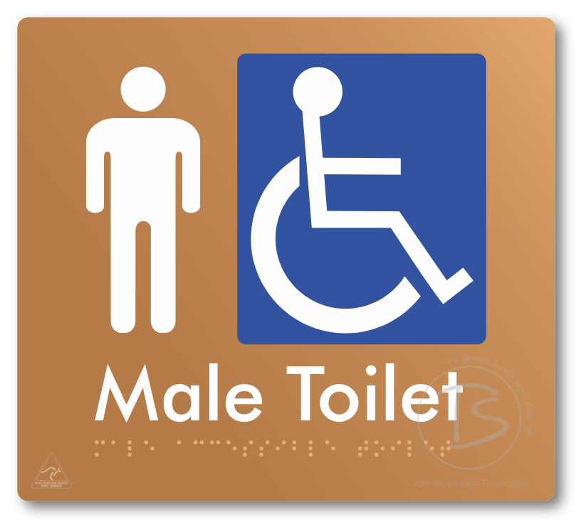 Male Accessible Toilet