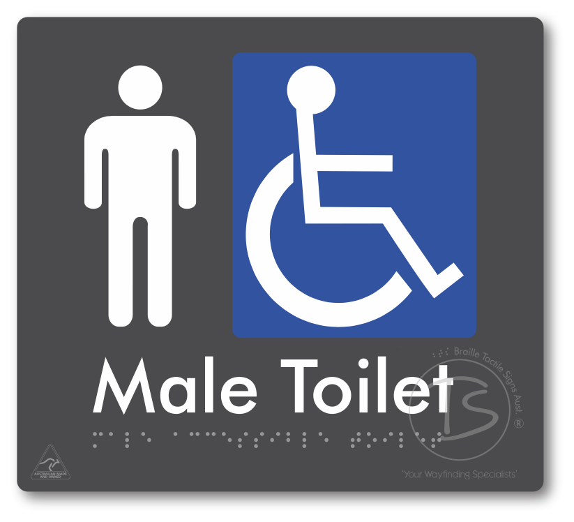 Male Accessible Toilet
