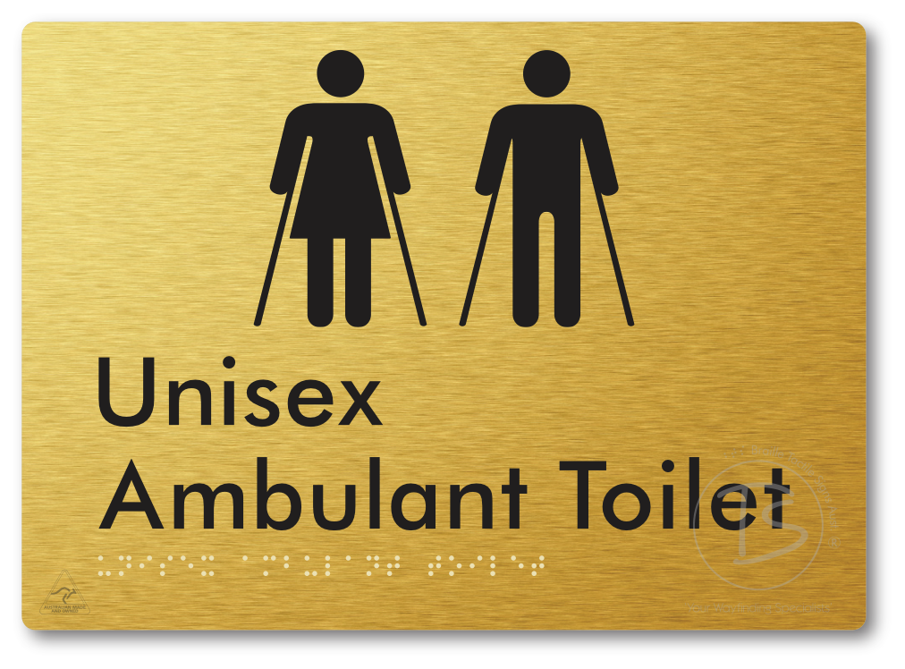 Unisex Ambulant Toilet
