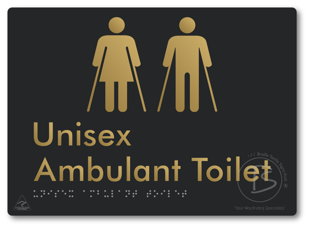 Unisex Ambulant Toilet