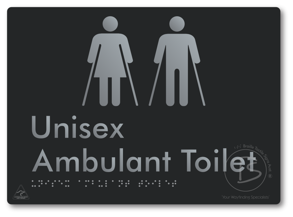 Unisex Ambulant Toilet
