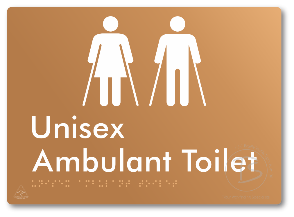 Unisex Ambulant Toilet