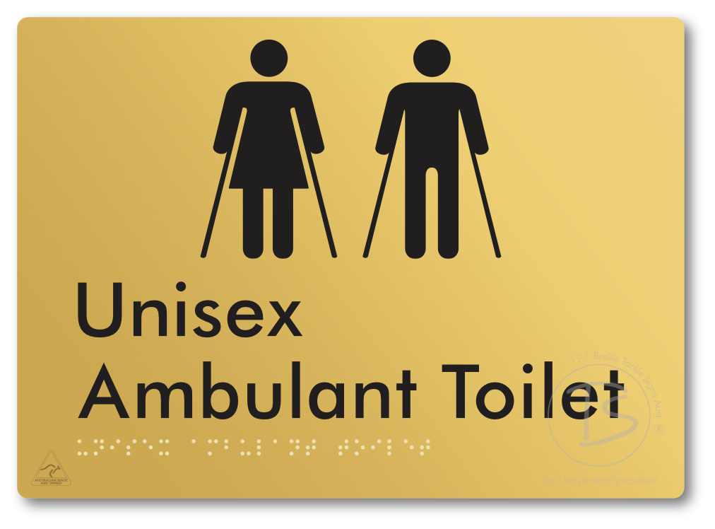 Unisex Ambulant Toilet