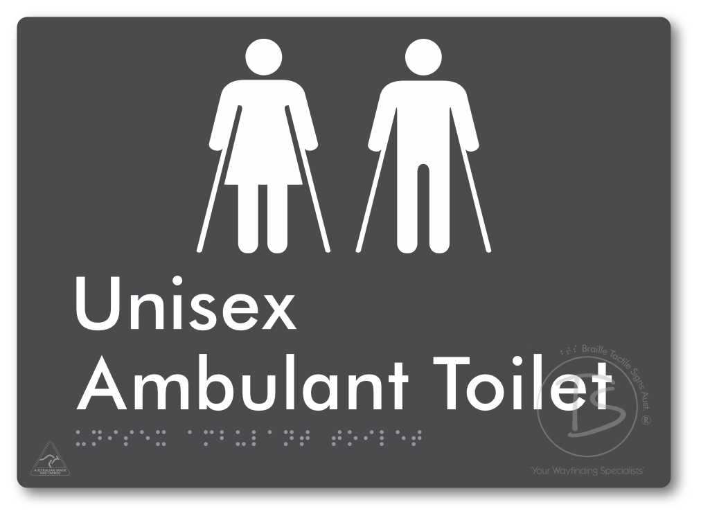 Unisex Ambulant Toilet