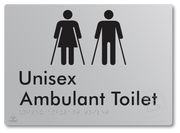 Unisex Ambulant Toilet