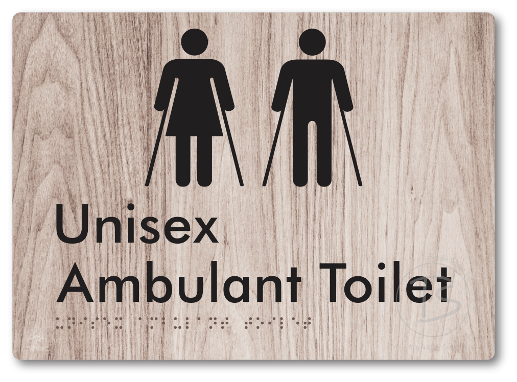 Unisex Ambulant Toilet