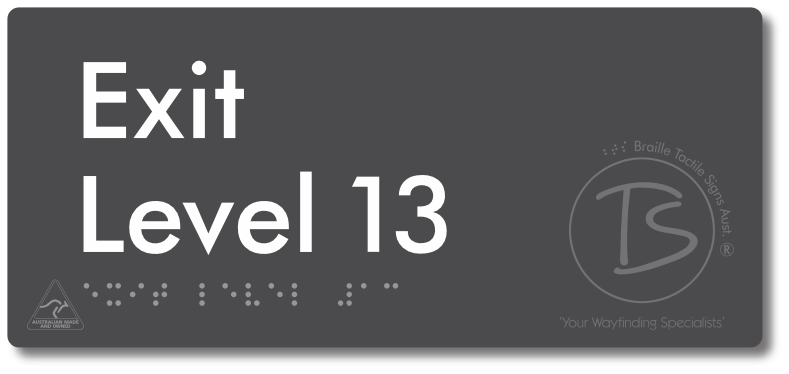 Exit Level 13