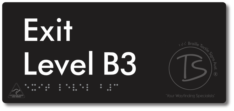 Exit Level B3