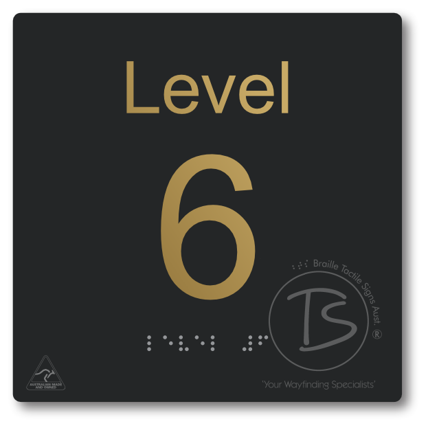 Level Sign - Level 6