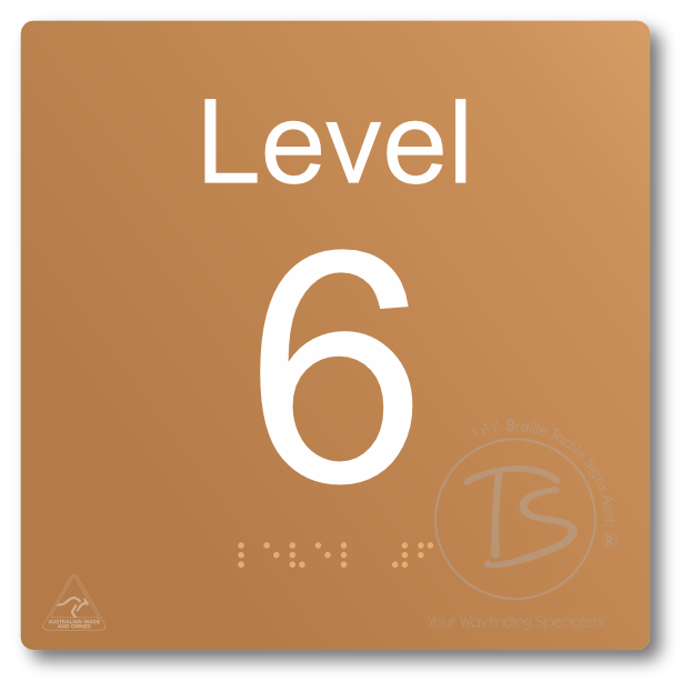 Level Sign - Level 6