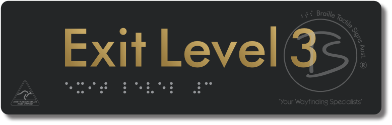 Exit Level 3