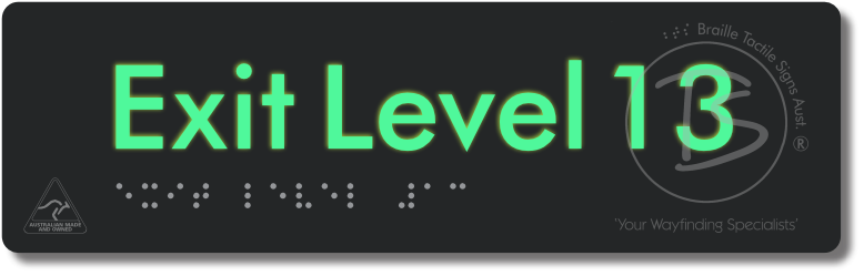 Exit Level 13