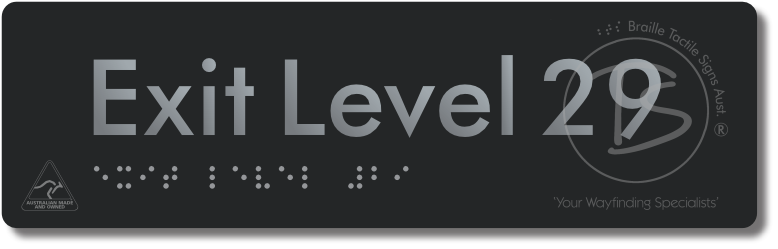 Exit Level 29