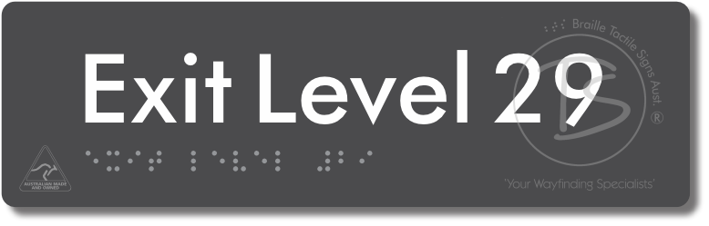Exit Level 29