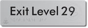 Exit Level 29