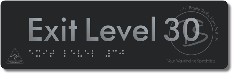 Exit Level 30