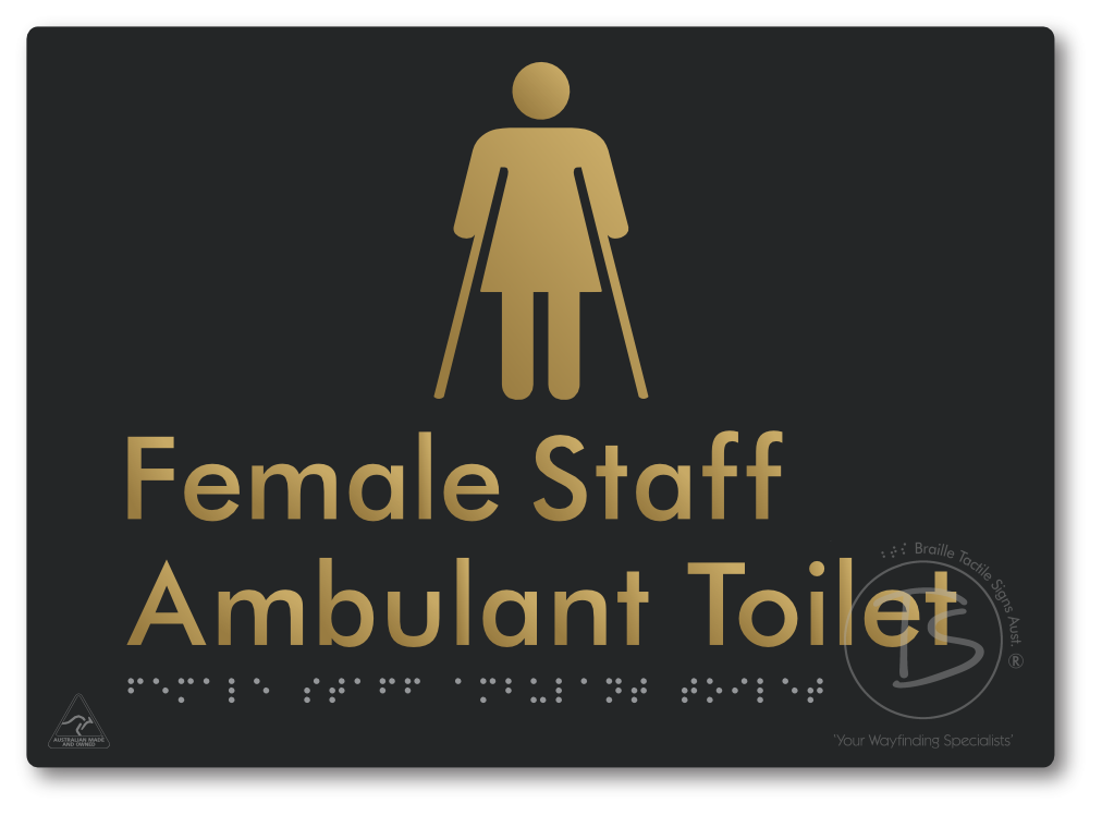 Female Staff Ambulant Toilet