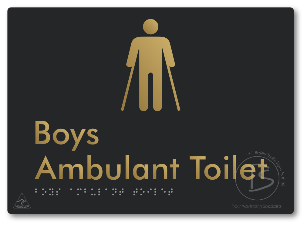Boys Ambulant Toilet