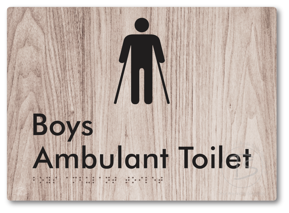 Boys Ambulant Toilet