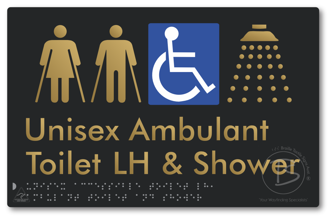 Unisex Accessible Toilet LH, Ambulant Toilet and Shower