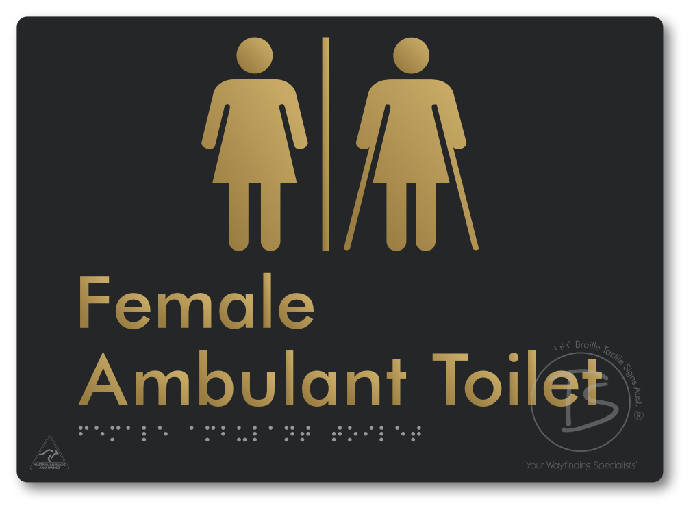 Female Ambulant Toilet with Air Lock