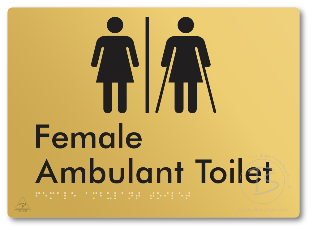 Female Ambulant Toilet with Air Lock
