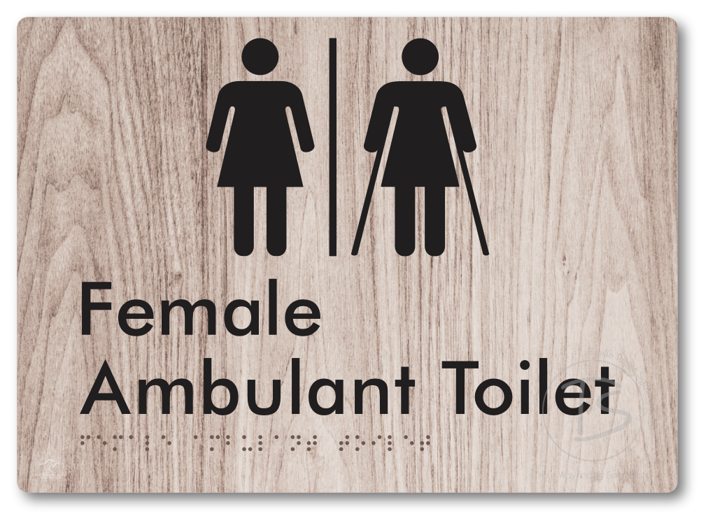 Female Ambulant Toilet with Air Lock