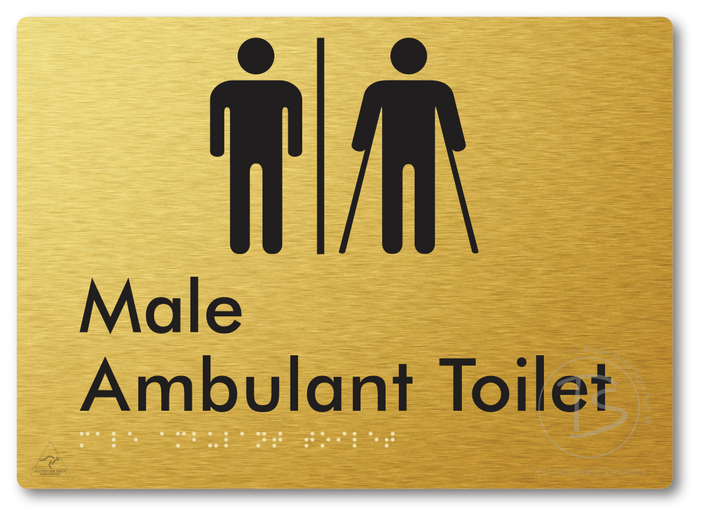 Male Ambulant Toilet with Airlock