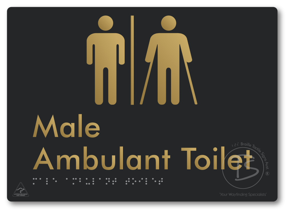 Male Ambulant Toilet with Airlock