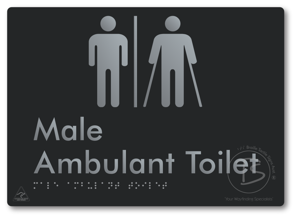 Male Ambulant Toilet with Airlock