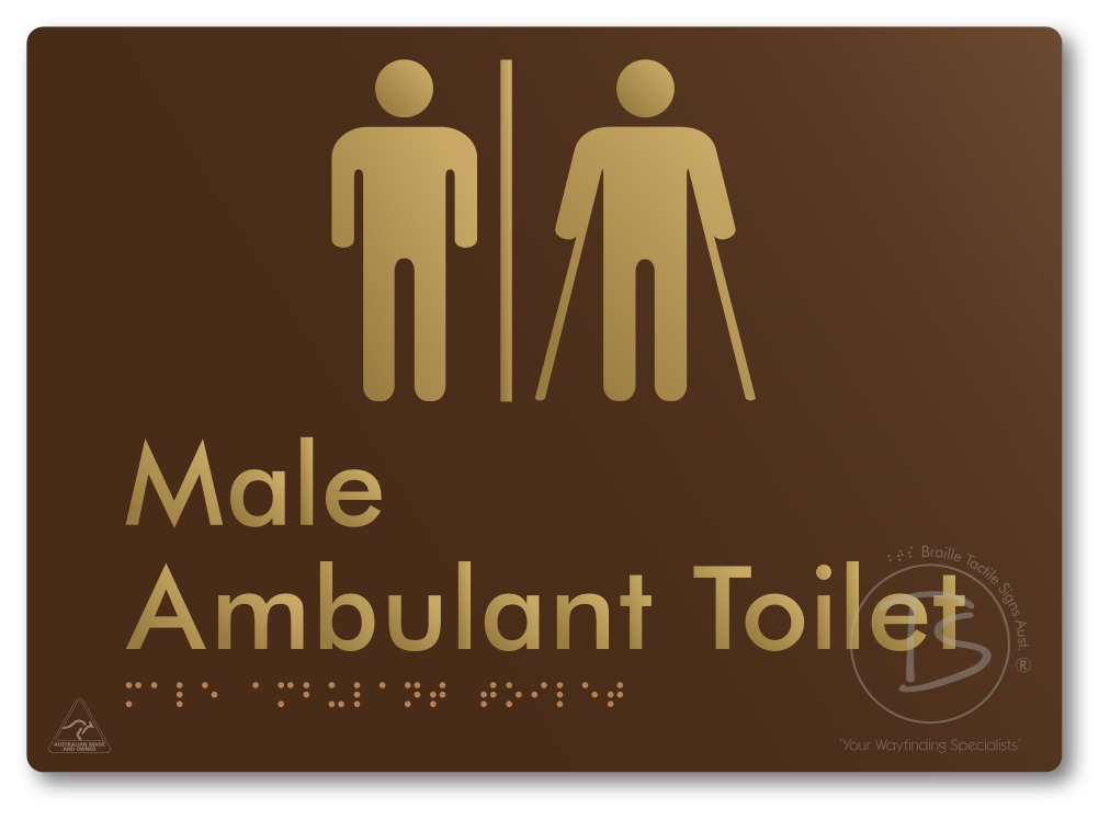 Male Ambulant Toilet with Airlock