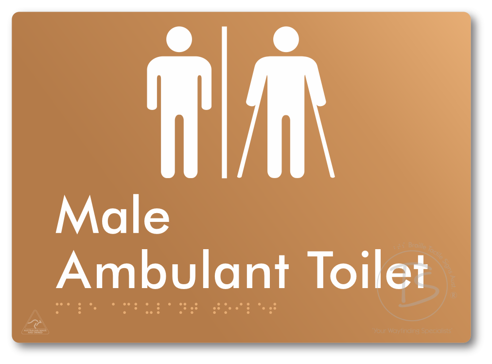 Male Ambulant Toilet with Airlock