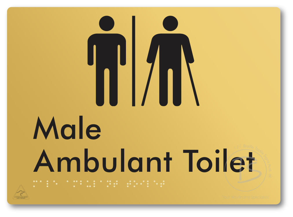 Male Ambulant Toilet with Airlock