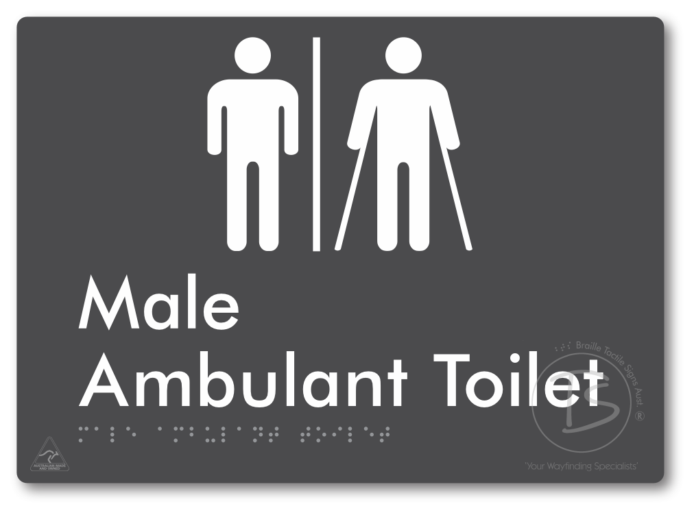 Male Ambulant Toilet with Airlock