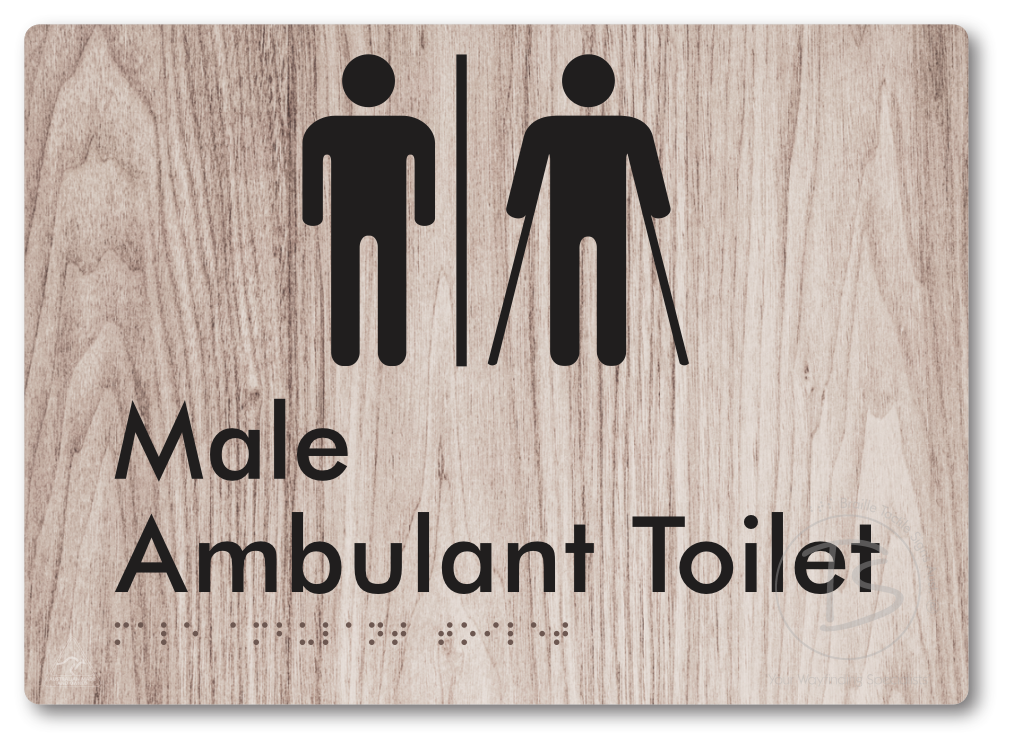 Male Ambulant Toilet with Airlock