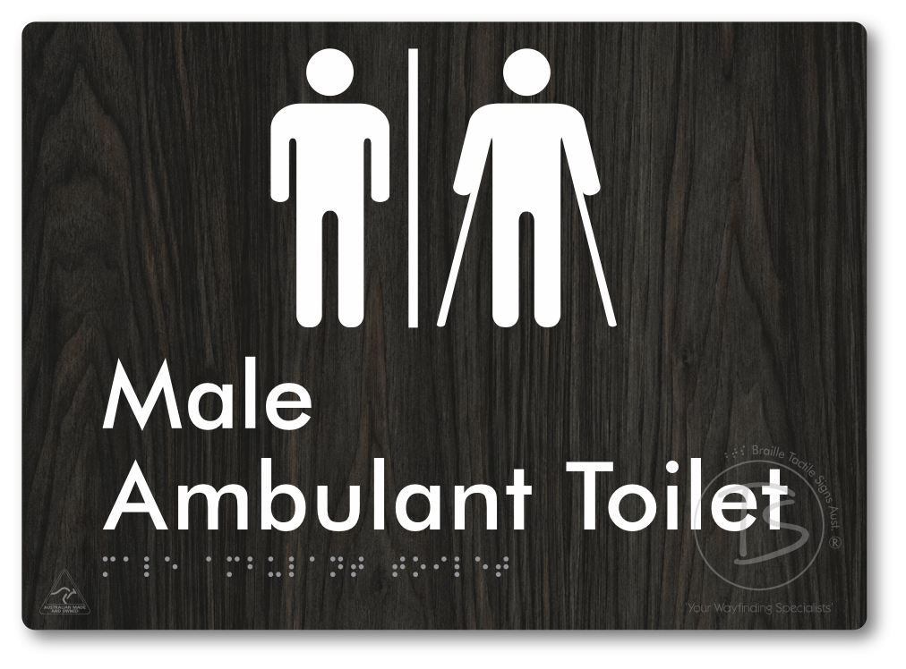 Male Ambulant Toilet with Airlock