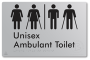 Unisex Ambulant Toilet with Airlock