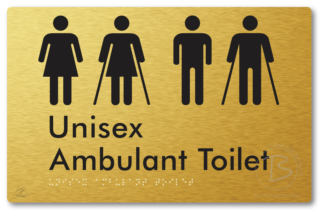 Unisex Ambulant Toilet