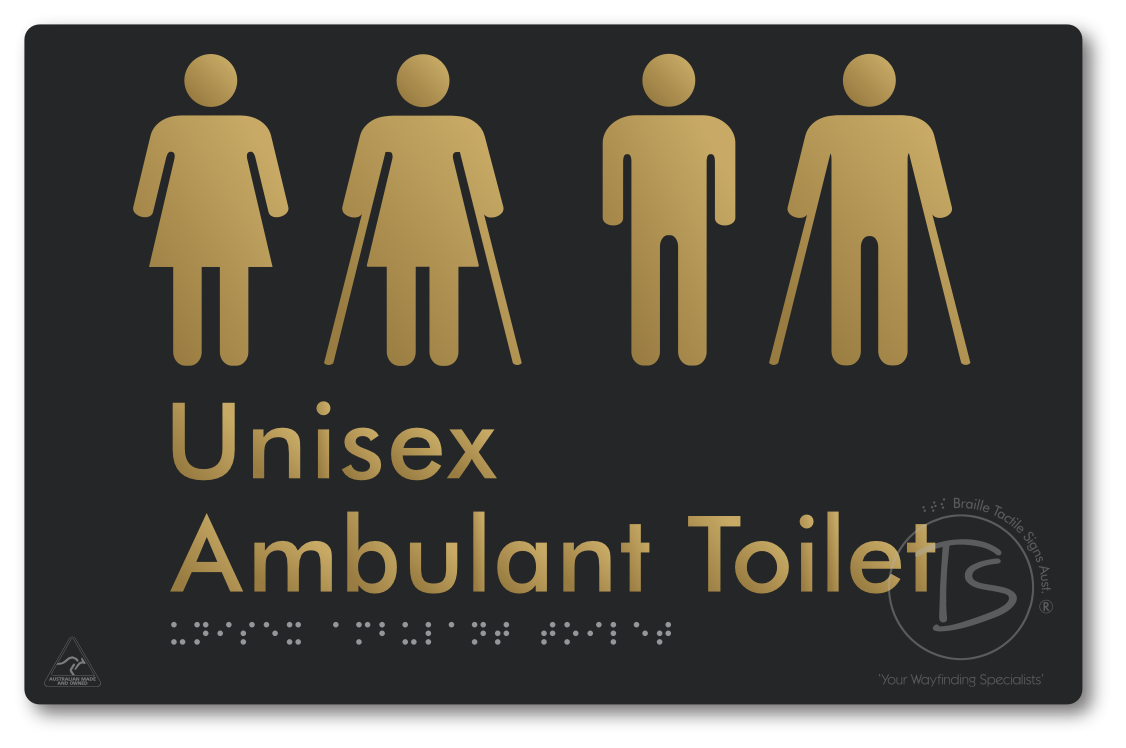 Unisex Ambulant Toilet