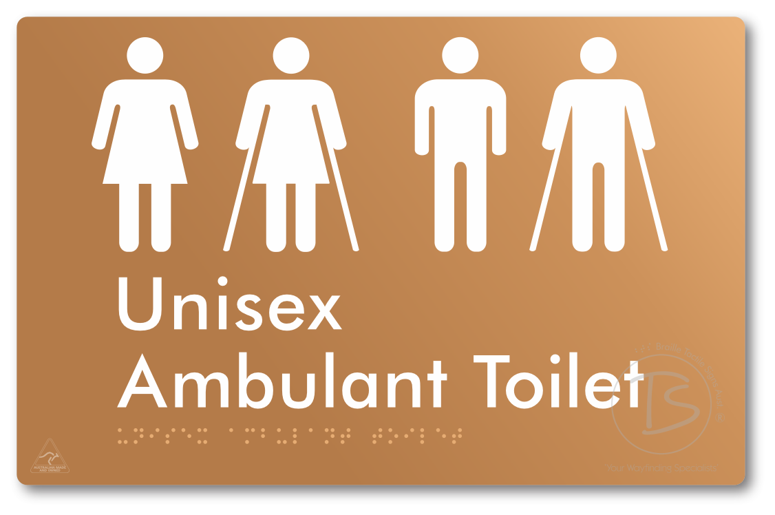 Unisex Ambulant Toilet