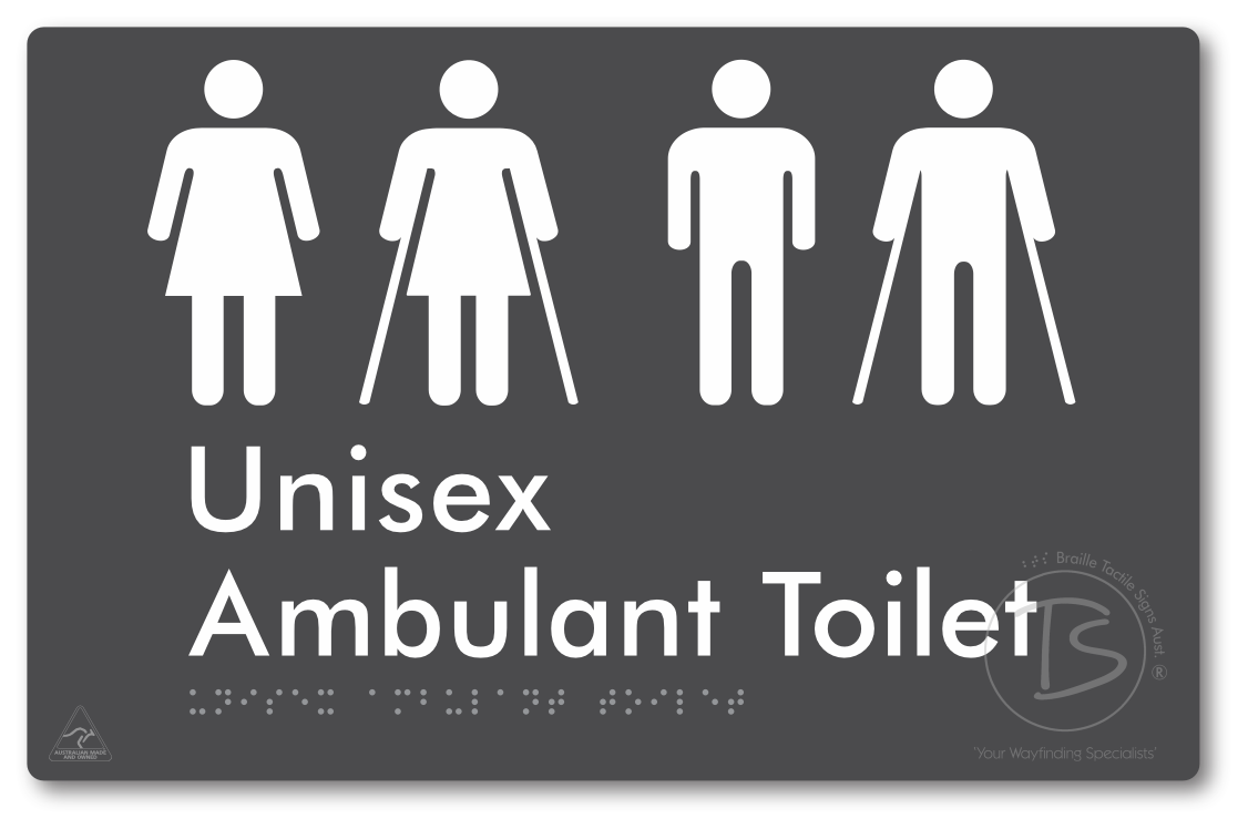Unisex Ambulant Toilet