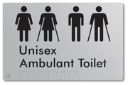 Unisex Ambulant Toilet