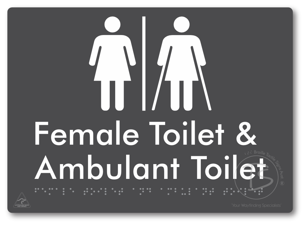 Female Toilet & Ambulant Toilet with Air Lock